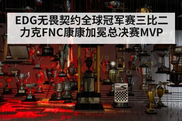 EDG无畏契约全球冠军赛三比二力克FNC康康加冕总决赛MVP