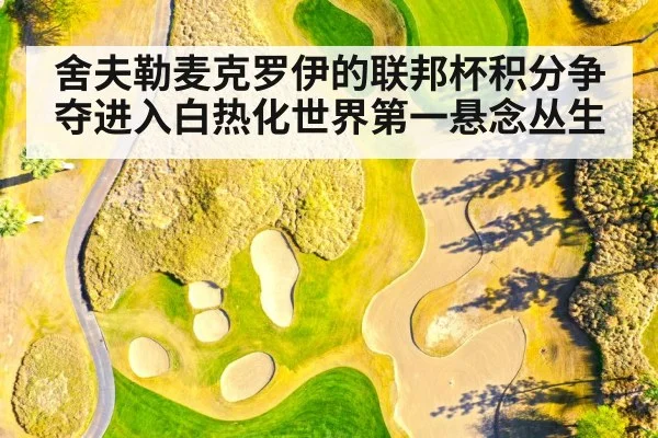 舍夫勒麦克罗伊的联邦杯积分争夺进入白热化世界第一悬念丛生